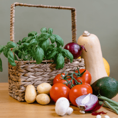 SERVICES FOR THE FRESH FRUITS AND VEGETABLES INDUSTRY