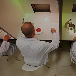SENSORY ANALYSIS OF FOODS FOR PRODUCT OPTIMIZATION