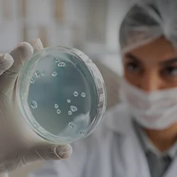 MICROBIOLOGICAL TESTING TO ENSURE THE SAFETY AND QUALITY OF YOUR PRODUCTS