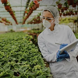 INSPECTION FOR THE FOOD AND AGRICULTURAL INDUSTRY