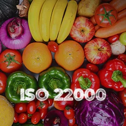 ISO 22000 Certification