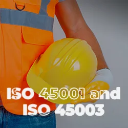 ISO 45001 and ISO 45003 Certification