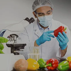 SHELF LIFE TESTING IN FOOD: ENSURING SAFETY AND QUALITY