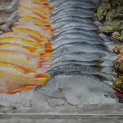 SPECIALIZED SERVICES FOR THE SEAFOOD INDUSTRY