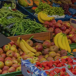 SERVICES FOR FOOD RETAILERS AND PRIVATE BRANDS