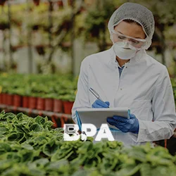 Certification in Good Agricultural Practices (GAP)