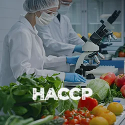 HACCP Certification