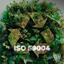 ISO 59004 Certification