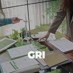 Verification of GRI Sustainability Reports